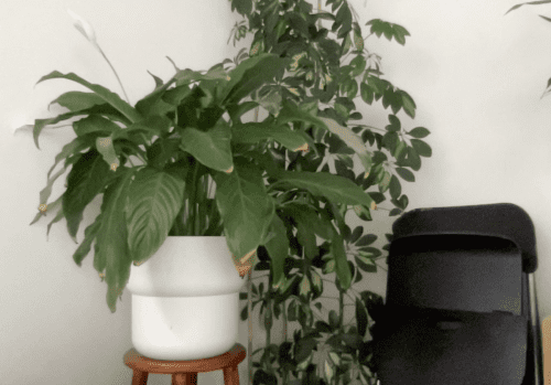 Belgium_September 2024