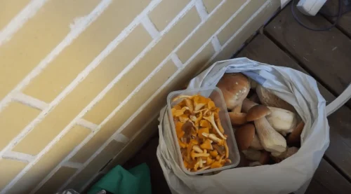 Finland_September 2024