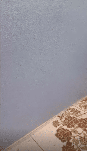 Thailand_December 2024