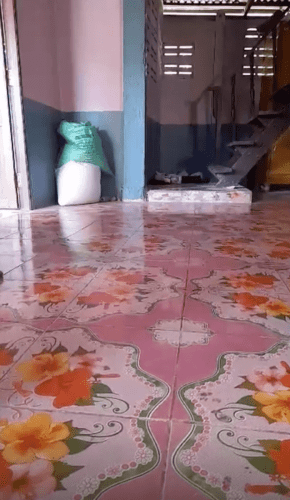 Thailand_September 2024