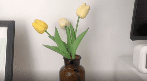 Philippines_March 2024