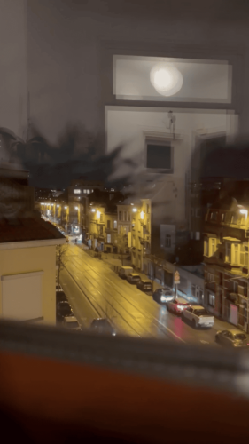 Belgium December 2024