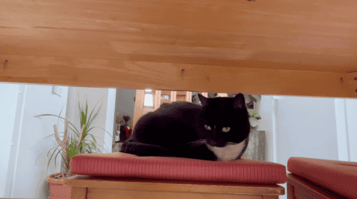 Belgium September-2024