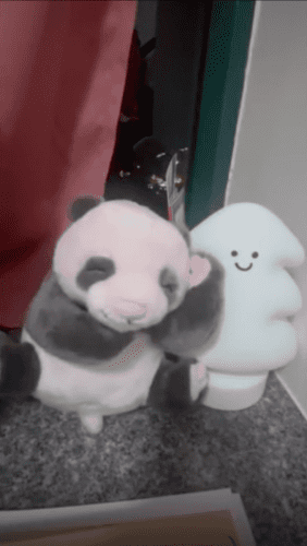 Hong-Kong December-2024