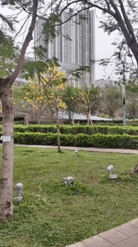 Hong-Kong September 2024