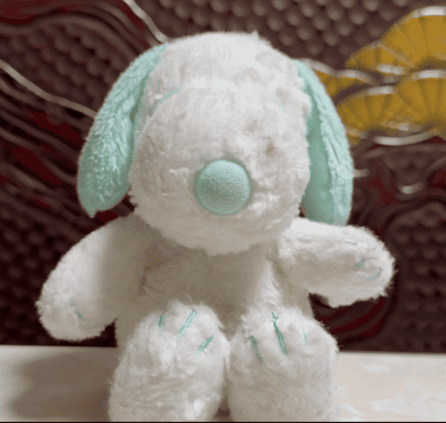 Japan September-2024-2