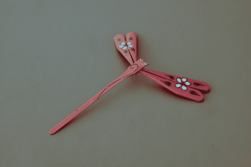 A token from Vietnam that Kim offers to friends