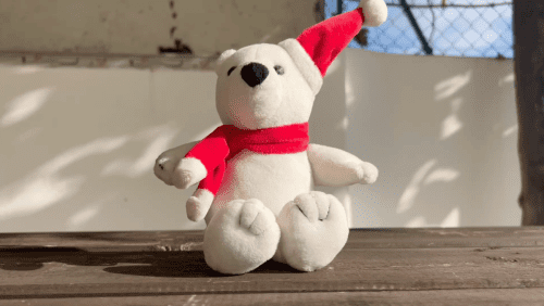 Portugal December-2024-2