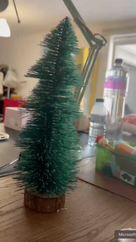 Portugal December 2024