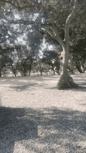 Portugal September 2024