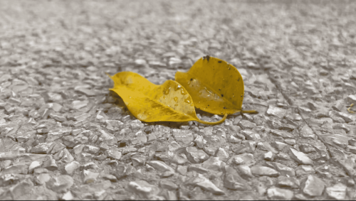 Portugal September 2024