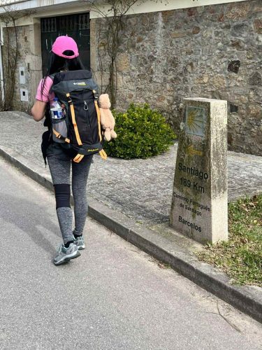 Walking the Camino de Santiago