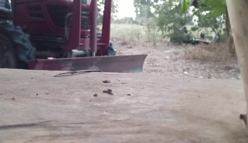 Thailand December 2024